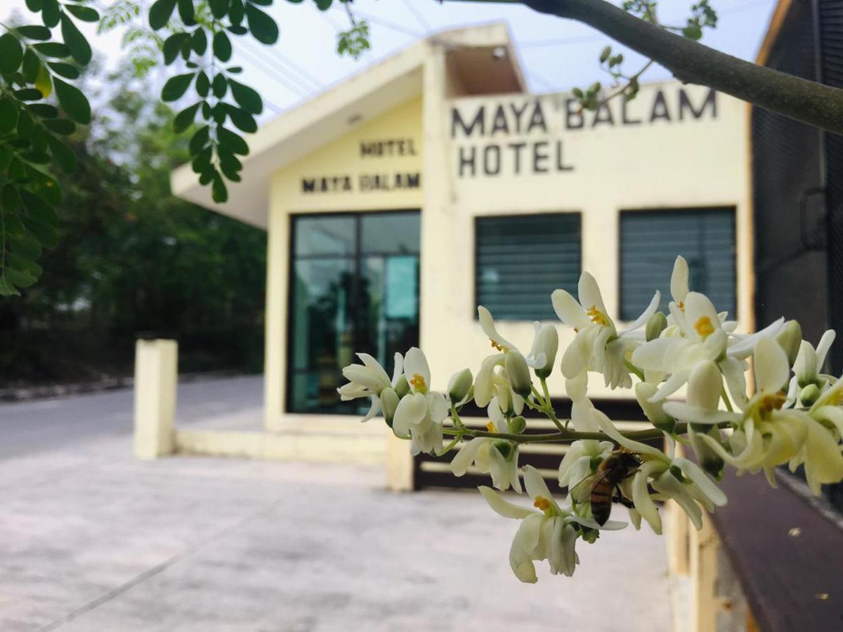 Hotel Maya Balam Xpujil Bagian luar foto
